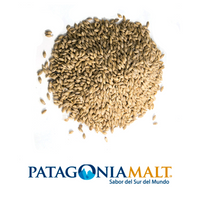 Thumbnail for Malta Pale Ale (Patagonia Malt) x kilo